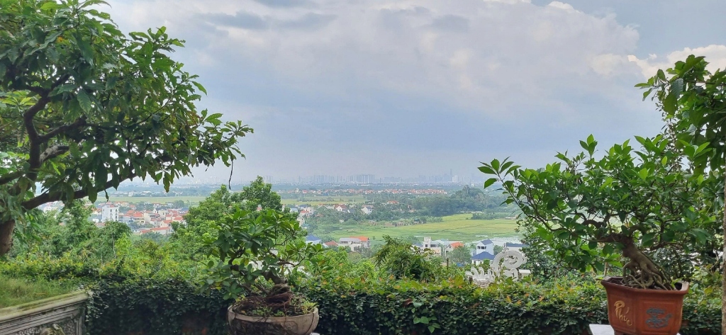 Hệ Thống Khóa Học & Đào Tạo