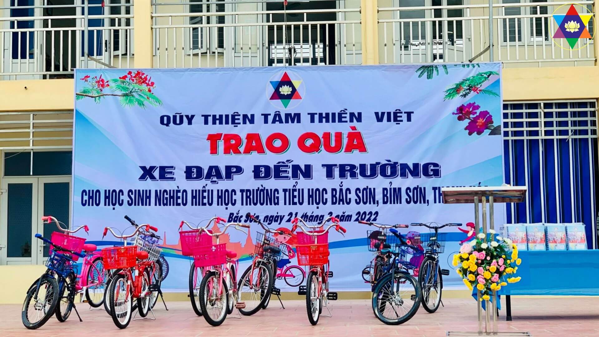 thien tam thien viet 1