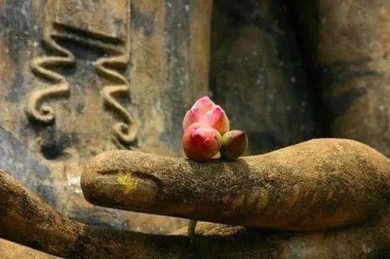 Thiền chánh niệm là gì?