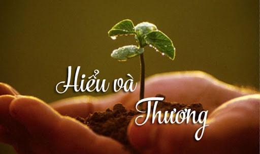 Tìm hiểu về thiền yêu thương