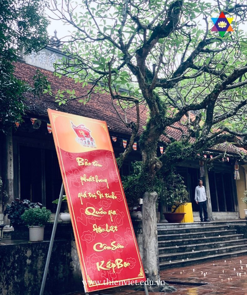 xin linh khi 10