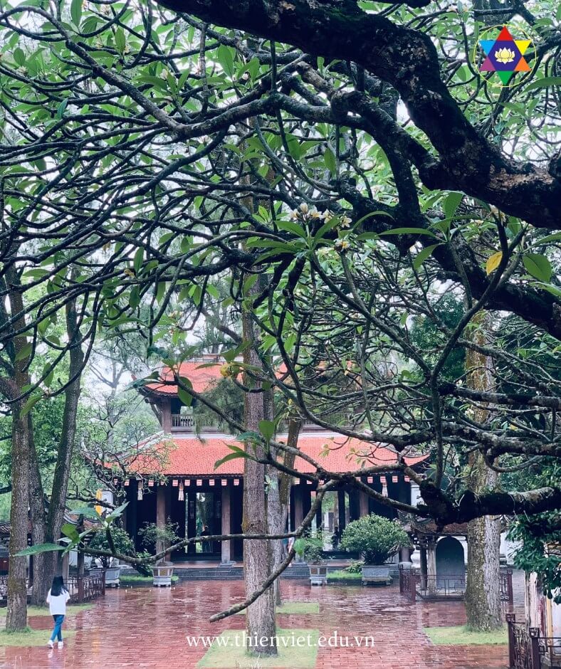 xin linh khi 8