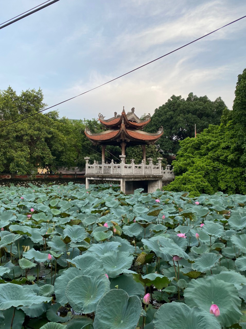 Thien Viet Chua Cu Linh Dia Diem Hoc Thien O Long Bien (5)