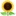 Chương Trình 