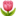 Chương Trình 