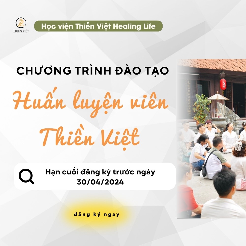 dao-tao-hlv-thien-viet